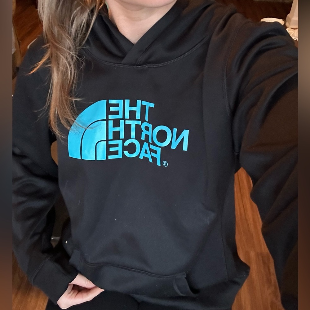 The north face hoodie